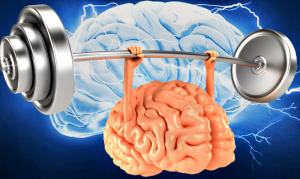 یادگه‌ ، مێشك ، بیرچونه‌وه‌