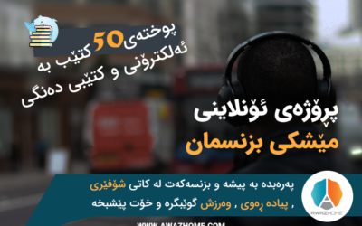 پڕۆژەی مێشكی بزنسمان